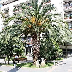 *** Hotel Rondo' Italy